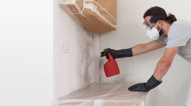 Professional Crawl Space Mold Removal technician working in Thorndale, TX