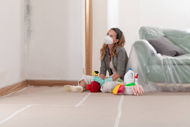 Reliable Crawl Space Mold Removal contractor in Thorndale, TX by WQB Mold Removal